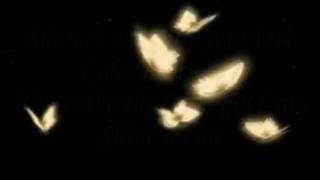 Corinne Bailey Rae ~ Butterfly (Lyrics)