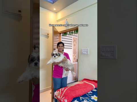 Every pet story🥹🧿❤️🤷🏻‍♀️ #kareenanaidu#youtubeshorts#ownvoice#happybirthdaybrownie