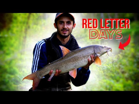 THE BEST BARBEL FISHING SESSION EVER