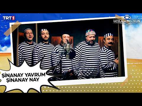 Şen Biraderler 2 - Kalenin Bedenleri (Şinanay) 🎤 | Leyla ile Mecnun 79. Bölüm