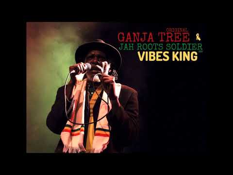 VIBES KING   GANJA TREE   J R S PRODUCTION