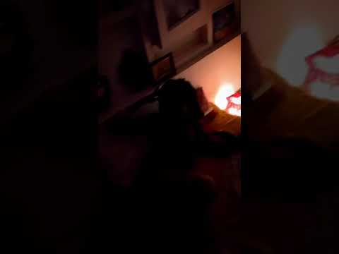 Nomis feat. Nerka (Remix) - Atouts torrides (Visualizer)