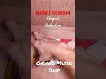 CD David T Chastain Album Elegant Seduction