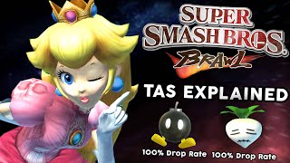 The Super Smash Bros Brawl TAS Is Incredible - Subspace Emissary 100% Explained