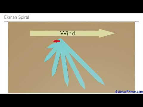 Surface currents, the Ekman spiral, and Ekman transport