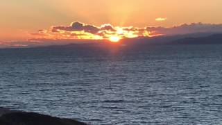 A puro dolor.  Por Sofía Reyes