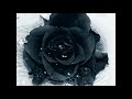 Luv Scars Dead Love