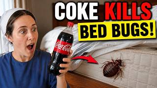 Homemade Bed Bug Trap That REALLY Works!