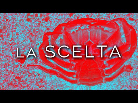 1607-IT Romina, La SCELTA - Ipnosi Esoterica ∞ Lucio Carsi