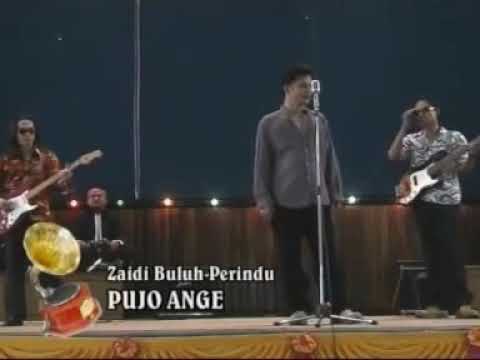 PUJO ANGE - ZAIDI BULUH PERINDU.