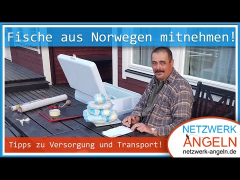 Geangelte Fische aus Norwegen mitnehmen - Tipps & Tricks zu Versorgung und Transport!