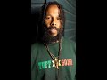 Ziggy Marley says following his father's legacy is 'organic'