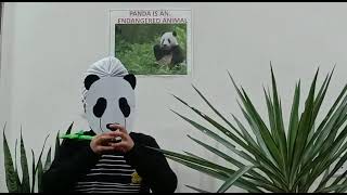 Apeejay International School Video