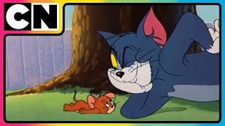 Download lagu Tom and Jerry 😺🐭| Tom & Jerry’s Stay-At-Home Madness! 😆 | Cat and the Mouse Cartoon 😍| @cnindia mp3