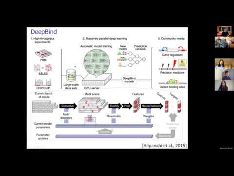 MIT Deep Learning Genomics - Lecture 17 - Genetics2: Systems Genetics