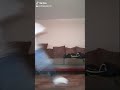 Backyardigans Theme Song Season 2 In Real Life