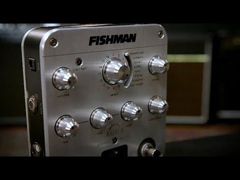 Обзор предусилителя Fishman PRO-AUR-SPC Aura Spectrum DI