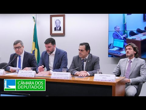 Comissão de Desenvolvimento Econômico debate regulamentação da Reforma Tributária - 18/04/2024