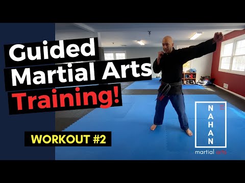 Online Martial Arts Workout and Training - Lesson 2