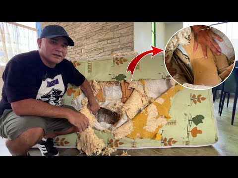 ASI ES LA ESTAFA DE LOS COLCHONES | Duermes sobre basura | Dilo Nomás