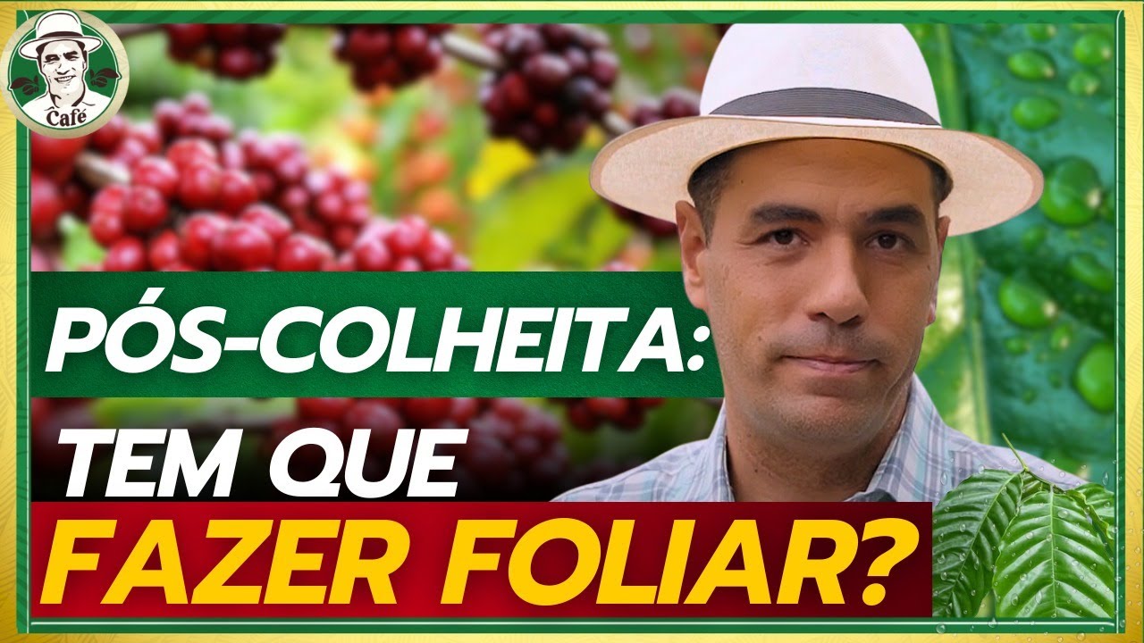 Quando é necessário fazer a foliar na pós-do café.
