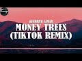 No Way Tiktok Viral Song Money Trees TikTok Remix Kendrick Lamar NO WAY