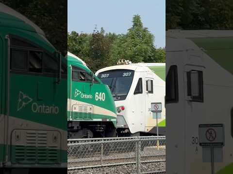 RARE! 24 Car Go Train through Mimico with a Broken consist! #gotrain #shorts