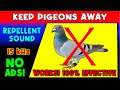 ANTI PIGEONS REPELLENT SOUND ⛔🐦 KEEP PIGEONS AWAY - ULTRASONIC SOUND