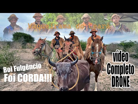 Boi fulgênvio foi pra corda, Boi fumaça 87 carreiras invicto, Vaqueiros do Parambu - Ceará