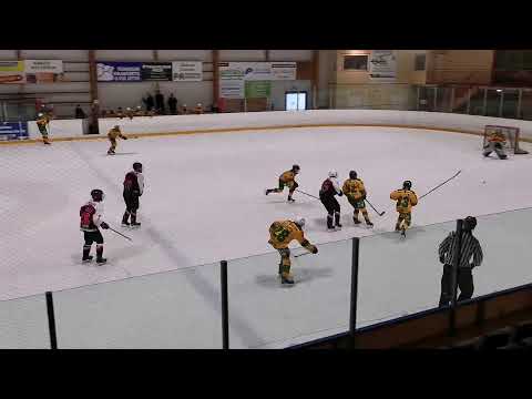 Coprat - Ilves keltainen