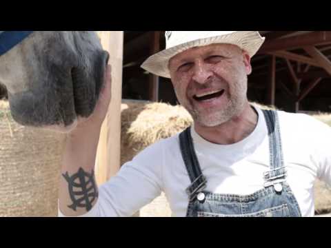 download lagu mp3 mp4 Ich Bin Der Boss Lyrics, download lagu Ich Bin Der Boss Lyrics gratis, unduh video klip Ich Bin Der Boss Lyrics