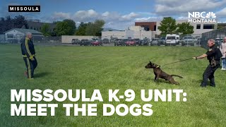 Missoula Co  K 9 unit Meet the dogs keeping the community safe