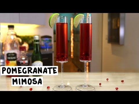 download lagu mp3 mp4 Pomegranate Mimosa, download lagu Pomegranate Mimosa gratis, unduh video klip Pomegranate Mimosa