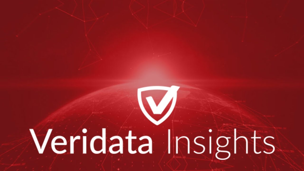 We Are Veridata Insights