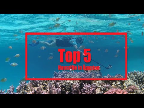 Top 5 Hausriffe Ägypten  4K