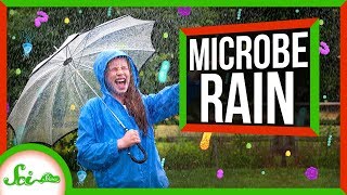 Bacteria and Viruses Are Raining Down on Us All the Time