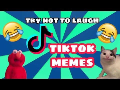 Tiktok memes to watch during quarantine