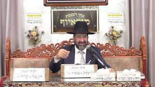 הרב אייל שרגא | פרשת לך לך מעלתו של אברהם אבינו | בית הכנסת מוסאיוף (בית הכנסת מוסאיוף) - התמונה מוצגת ישירות מתוך אתר האינטרנט יוטיוב. זכויות היוצרים בתמונה שייכות ליוצרה. קישור קרדיט למקור התוכן נמצא בתוך דף הסרטון