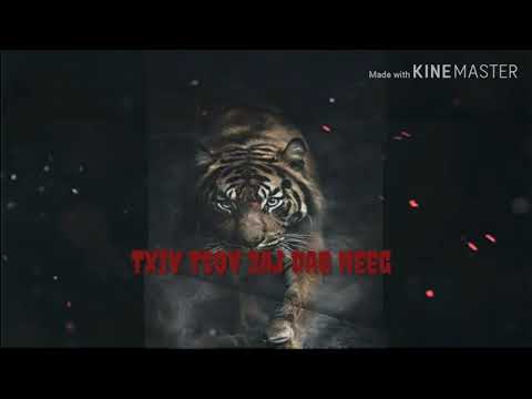 Txiv Tsov Zaj Dab Neeg By Sis Yis