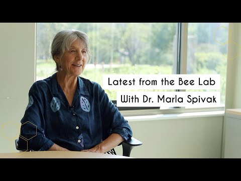 Dr. Marla Spivak Talks About Her Latest Research on Propolis and Honey Bees | Premier Bee Products