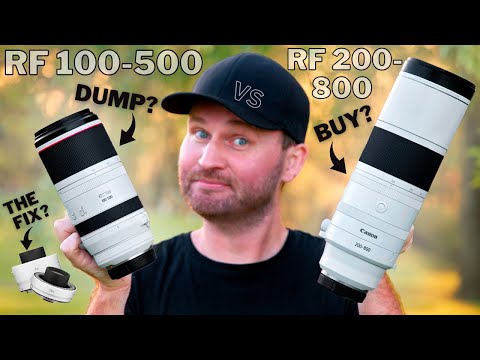 Canon RF 200-800 vs. RF 100-500 im Test