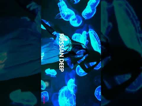 Hah Khalib ft. Medkoff - Так Сильно как тебя