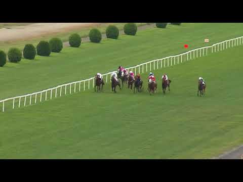 Dostihový den EŽ Praha 2018 ve Velké Chuchli ŽIVĚ