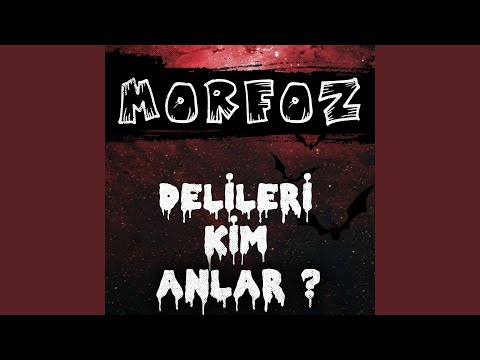 Delileri Kim Anlar?