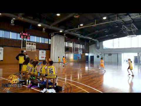 El Premini juga el seu primer partit de bàsquet | CB Pardinyes Lleida - Força Lleida (21/03/2021)