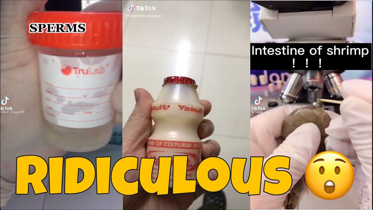 See How These Things Look Like Under The Microscope | TikTok Royalty