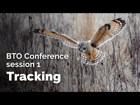 BTO Conference: Session 1 - Tracking