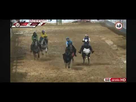 Coleada de karliet Oliveros Campeonato Nacional De Coleo Femenino - Infantil - Preinfantil 