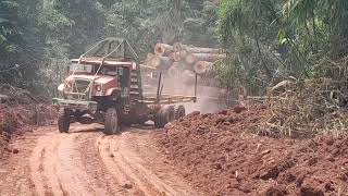 Download lagu LORRY INI HANYA UNTUK ANGKUT KAYU BALAK‼‼ KERJA HUTAN MALAYSIA mp3