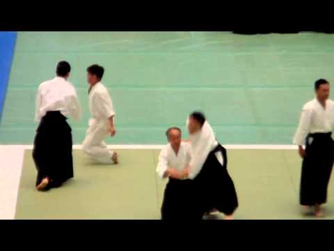 51st All Japan Aikido Demonstration Aikido Kenkyukai International